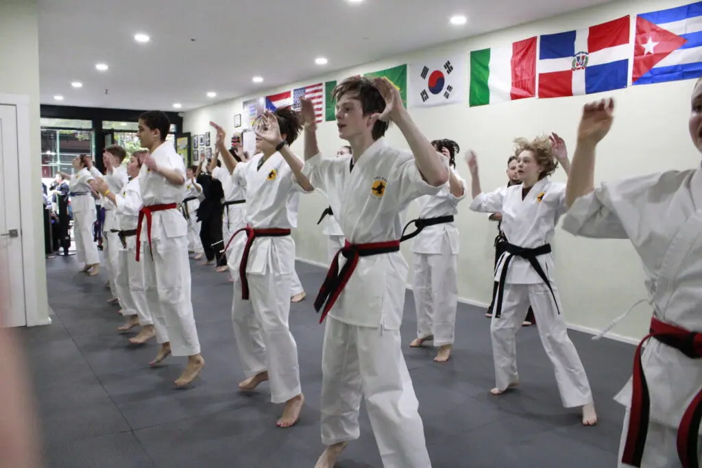 Adult Martial Arts Classes | Johnny Karate NYC Brooklyn
